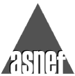 Asnef