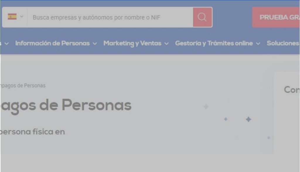 servicio-fichero-infodeuda-consulta